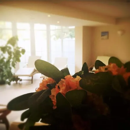 Wellnessresidenz 10 * Zingst